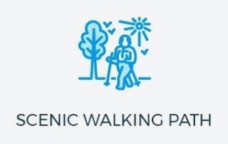 Scenic Walking Path